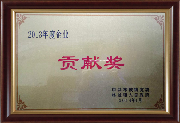 2013年度企业贡献奖