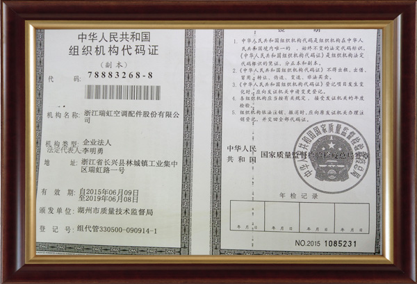 Organization Code Certificate
