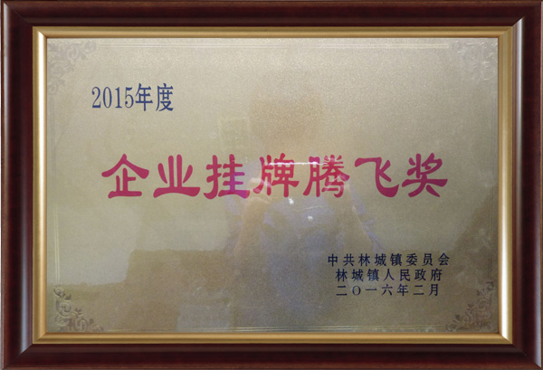 Up For Takeoff Award For 2015